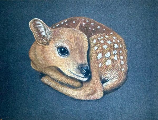 Fawn 
7x9 PastelMat -
Pastel Pencil