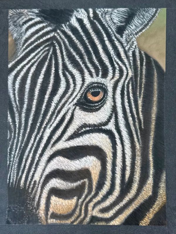 7x9.5 pastel pencil drawing of a zebra’s eye and stripes in close-up