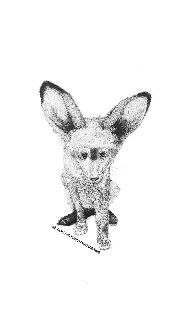 Bat eared fox - 
9x12 Hot pressed 320g/m2 watercolor paper
Archival Ink