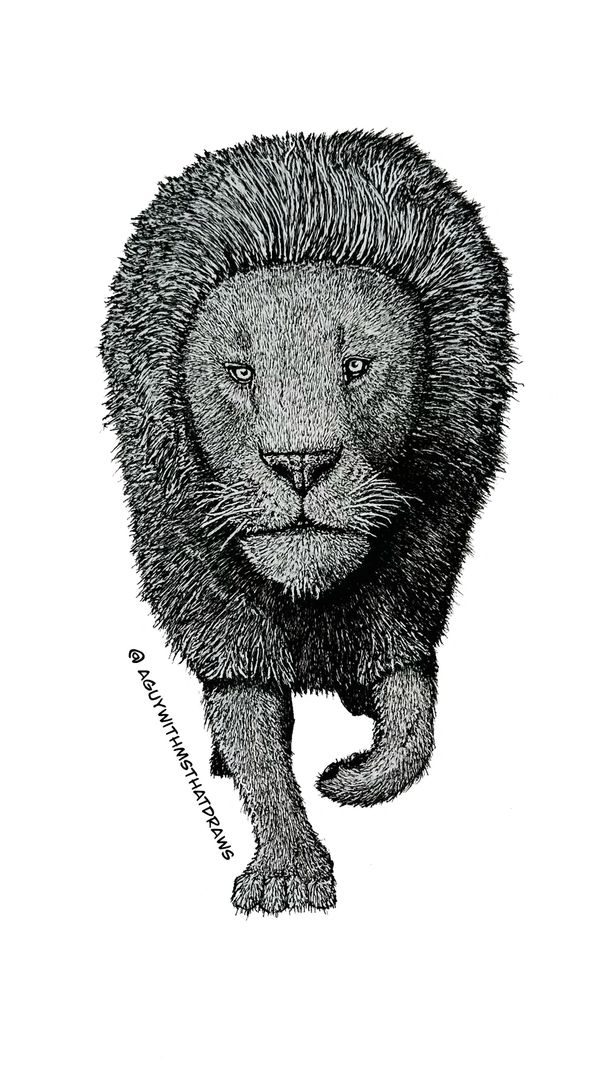 Lion - 
9x12 Hot pressed 320g/m2 paper - 
Archival Ink