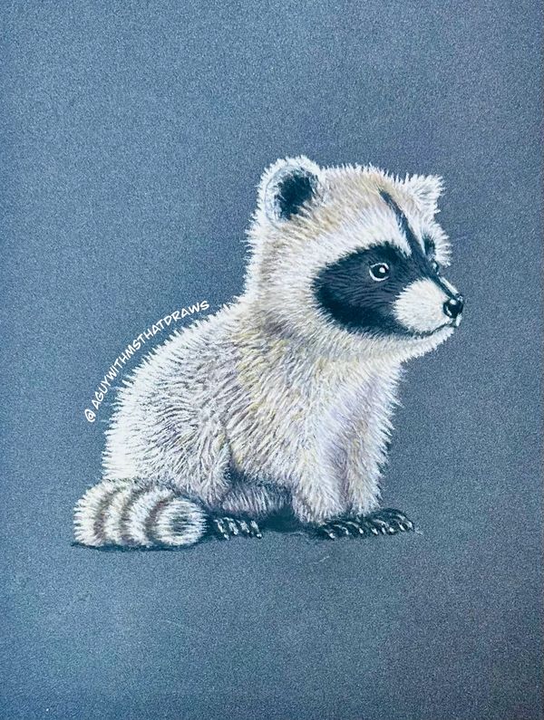 Racoon - 
7x9 PastelMat
Pastel Pencil