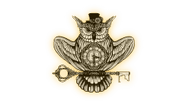 The Golden Owl
