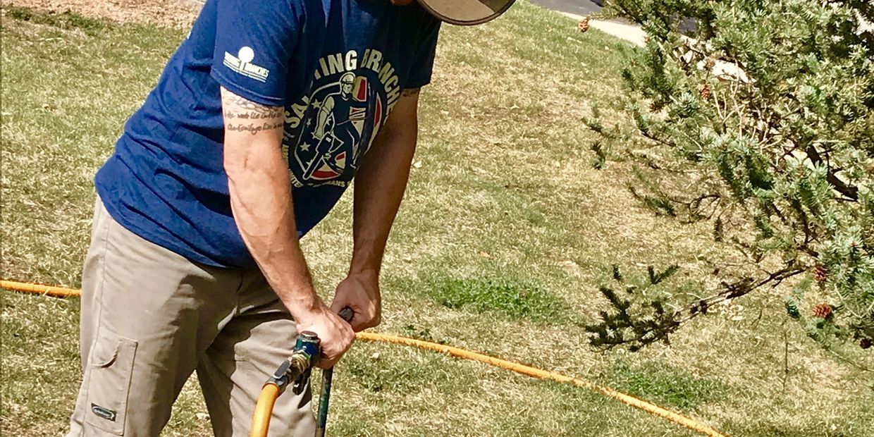 Tree & Shrub Fertilizing
