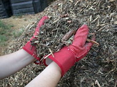 mulch, wood, chips, organic, matter, recycle, green