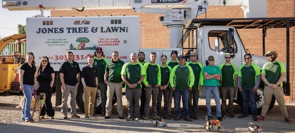 Lawn aeration team in Arvada