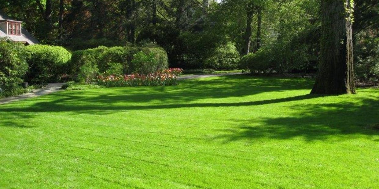 Dream Lawn