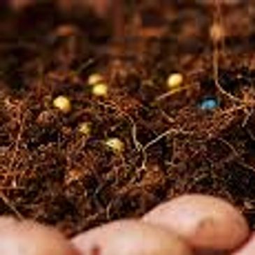 Lawn Fertilization services