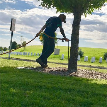 weed control services