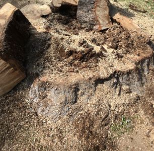 Stump, Grinder, Efficient, parts of tree, root