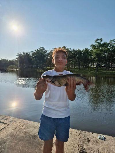 Boy holding a fish by the water on a sunny day.
