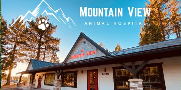 Mountain View Animal Hospital Exterior.