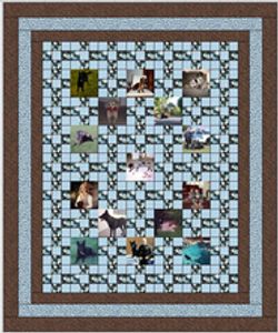 QUILT FOR ALEX
