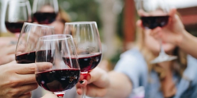 Wine Tours limo service