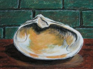 Clamshell, Pastel