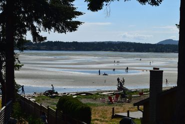 Beach views from Rooftop deck