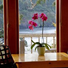 alegria in mendocino