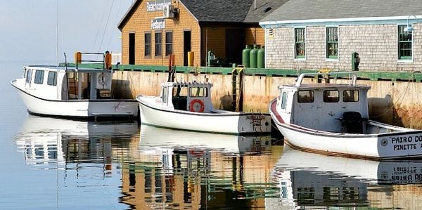 Three white fishing boats docked at a calm harbor beside wooden buildings.