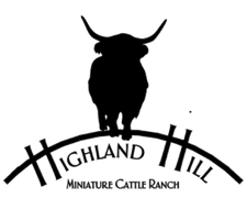 Highland Hill  Miniature Cattle Ranch