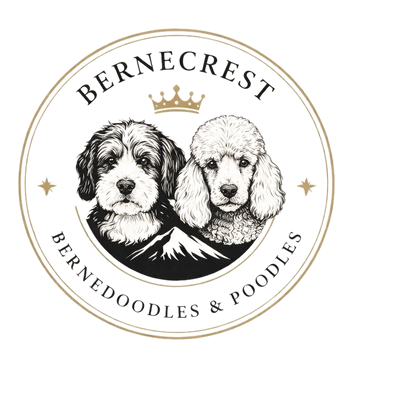Logo featuring a Bernedoodle and a Poodle with a crown and mountain.