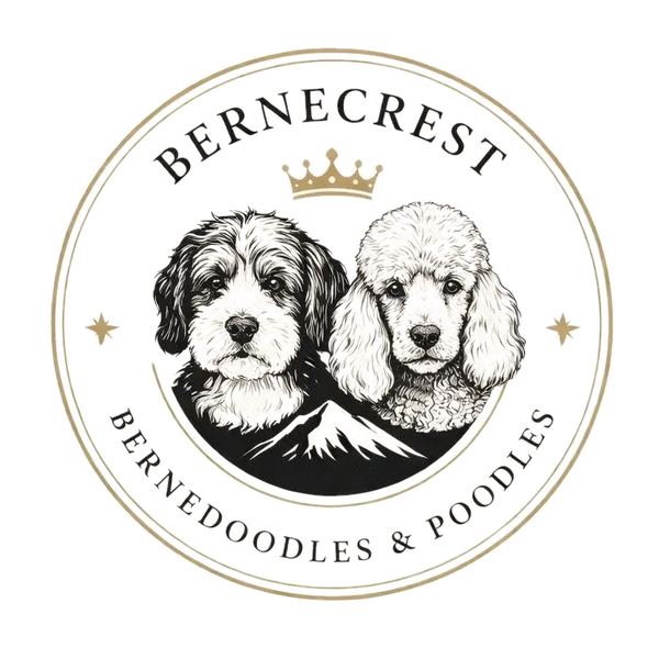 Logo featuring Bernedoodle and Poodle with a crown and mountain.