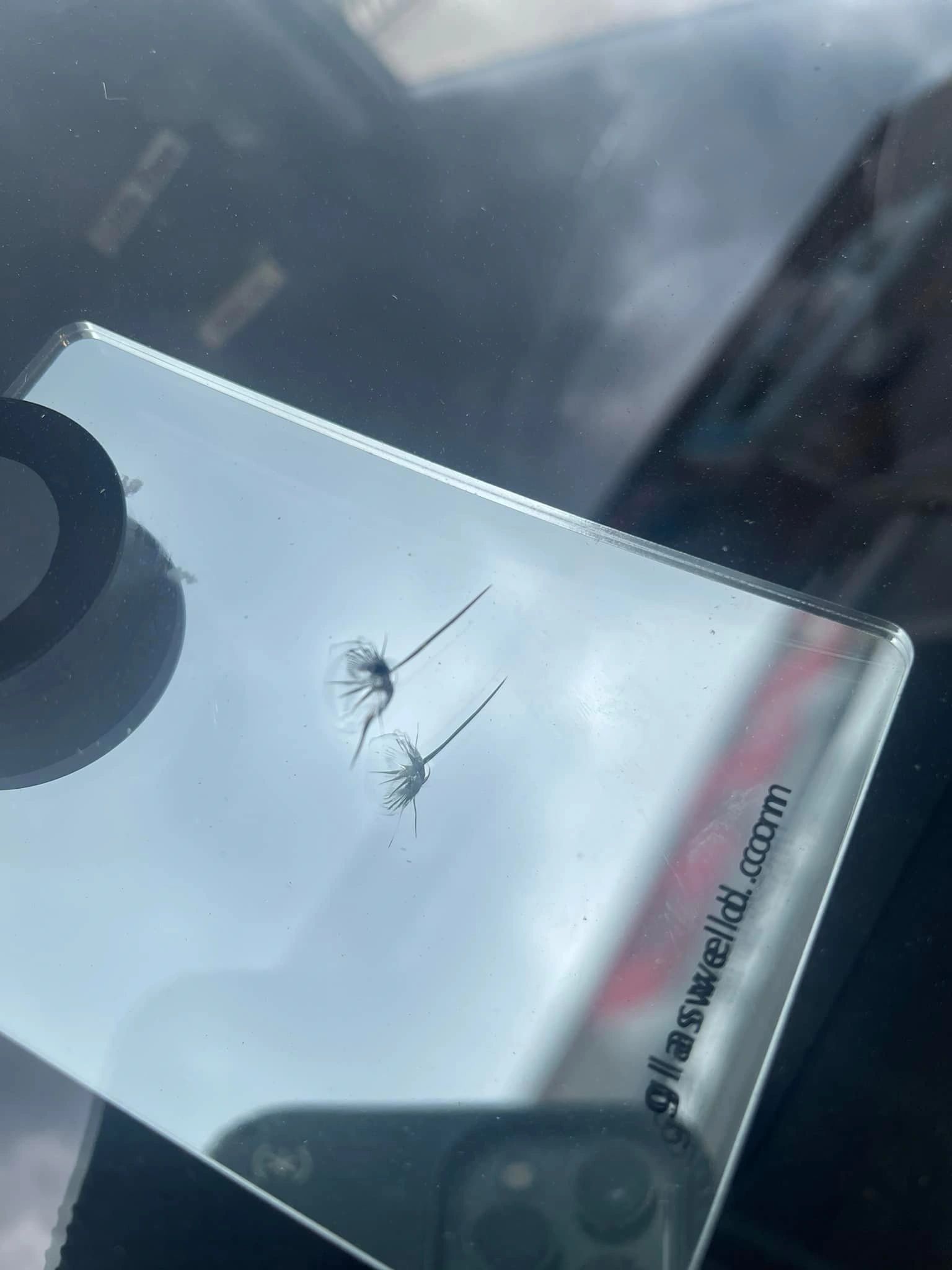 Pitted Windshield? Don't Take Chances Get It Repaired Now