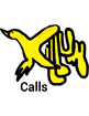 Killum Calls & Guided Duck Hunts