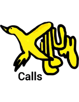Killum Calls & Guided Duck Hunts
