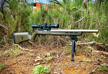 Dark Horse 10/22, Ruger 10/22, Suppressed .22, Suppressor, Suppressed rifle, Internally Suppressed, 