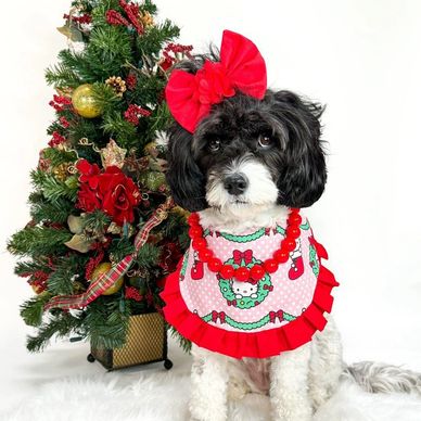 Holiday Pet Bandanas for Dogs and Cats. Christmas Dog Bandana, Thanksgiving Bandana, Fall Bandana