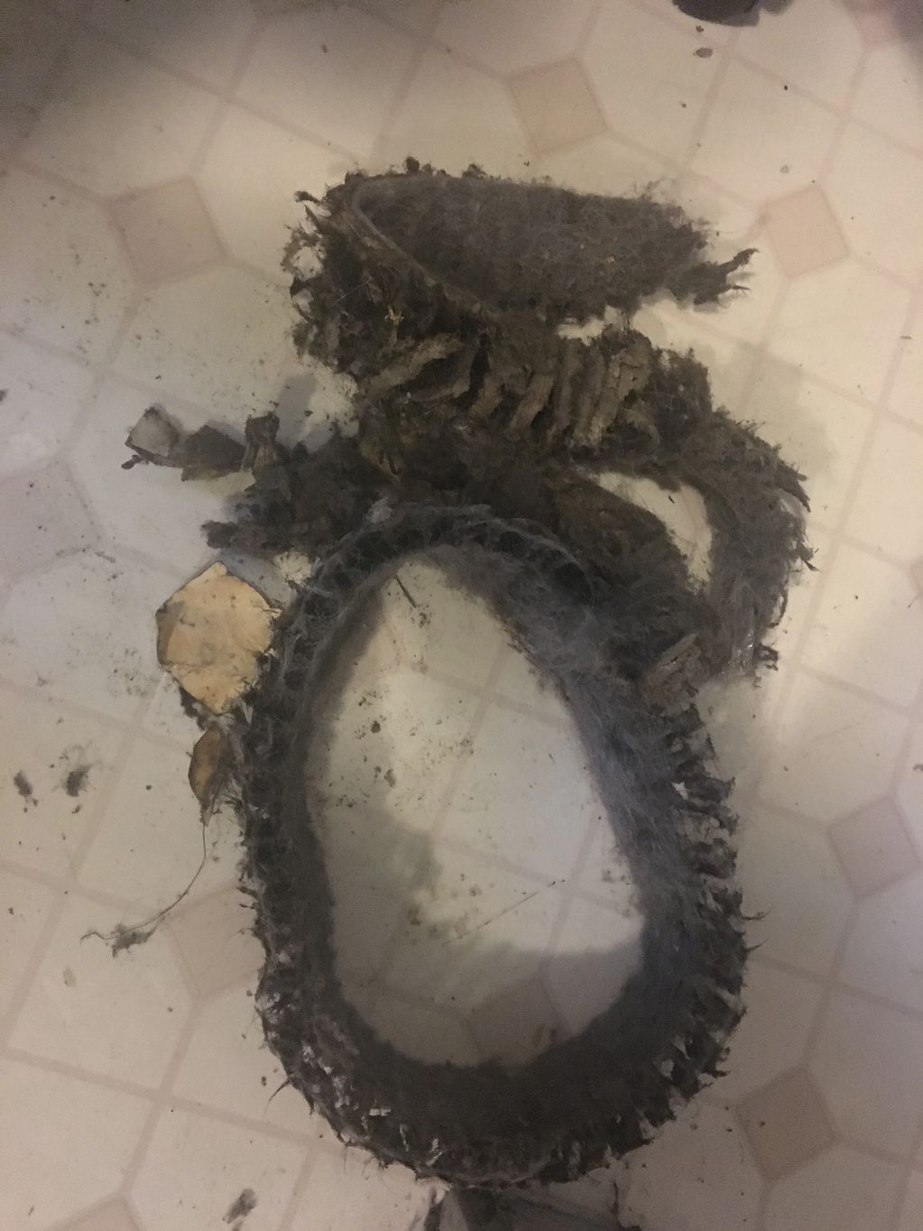 A ring of hair from a blower assembly
