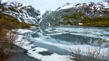 A partially frozen mountain lake with snow-capped peaks and sparse vegetation.