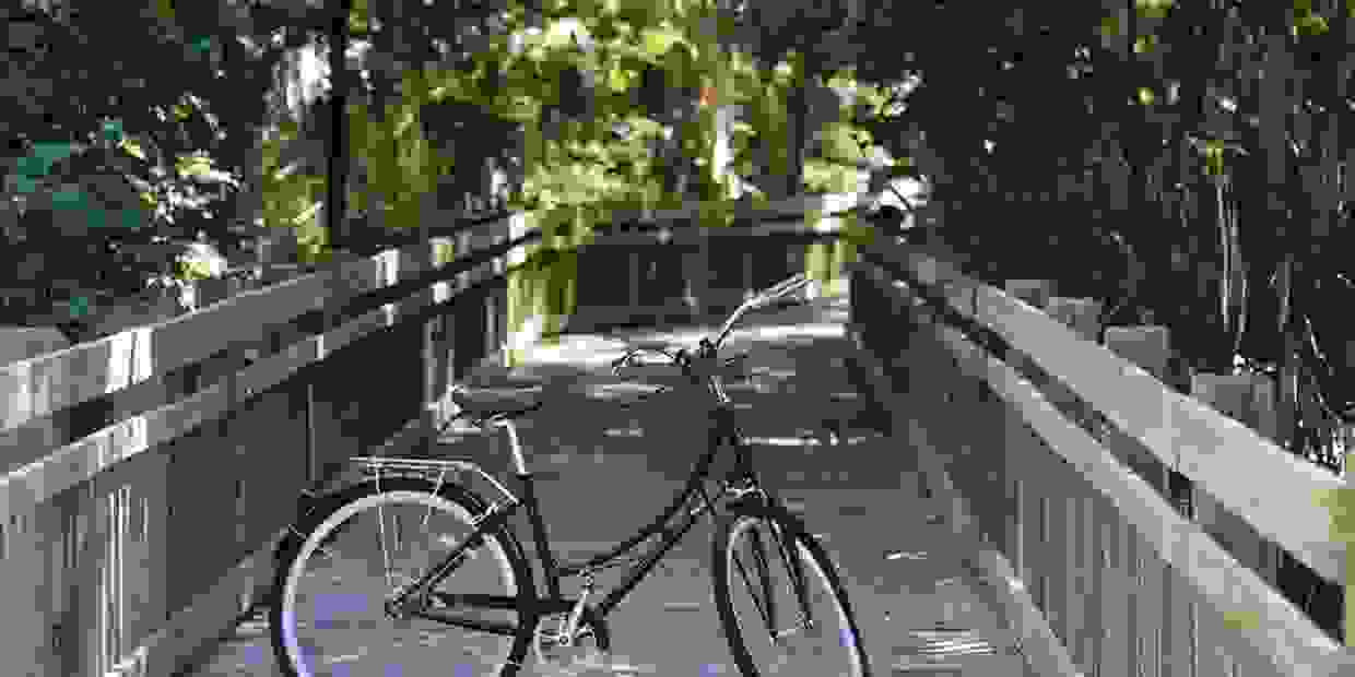 Celebration Bike Rental