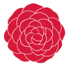 Red Camellia Concepts