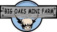Big Oaks Mini Farm