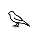 The Canary Agency Publishing Services