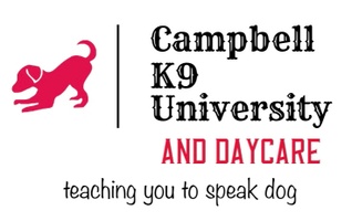 I speak best sale k9