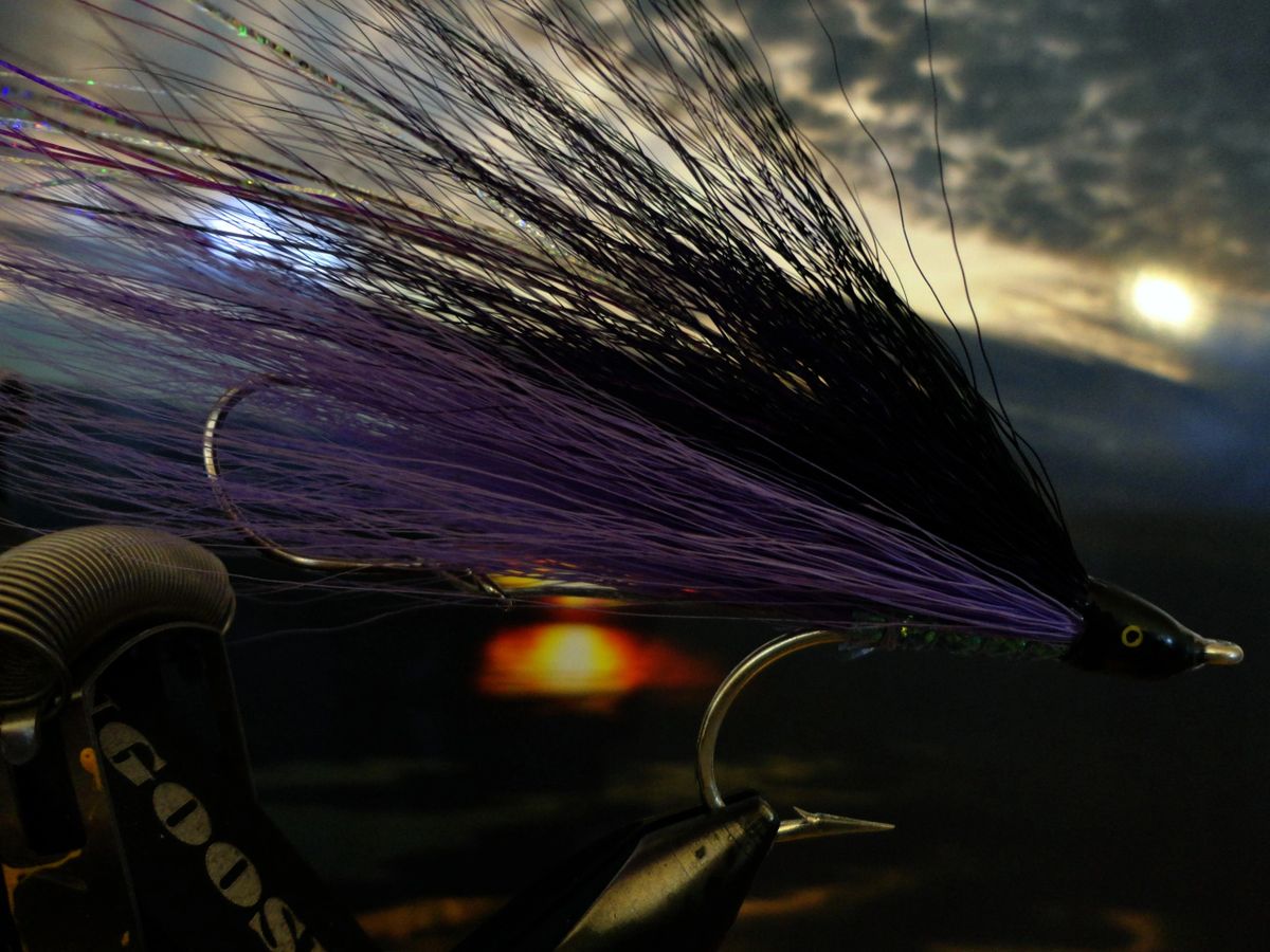 F71 Shoo Fly Trolling Flies