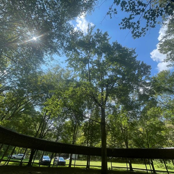 The Arbor