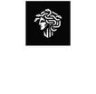 Gorgon Optronics