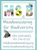 Meadowscaping for Biodiversity