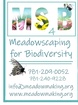 Meadowscaping for Biodiversity