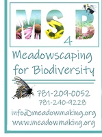 Meadowscaping for Biodiversity