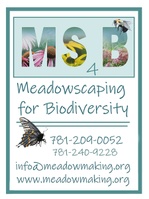 Meadowscaping for Biodiversity