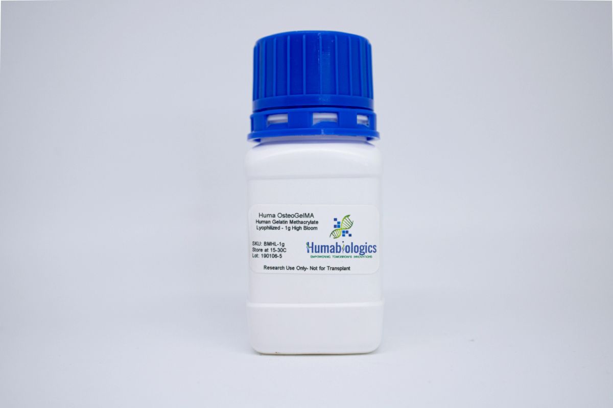Huma OsteoGelMA Human Gelatin Methacrylate, Lyophilized (BMHL/BMML)