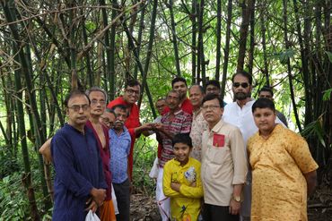 Group of people standing in a bamboo forest.