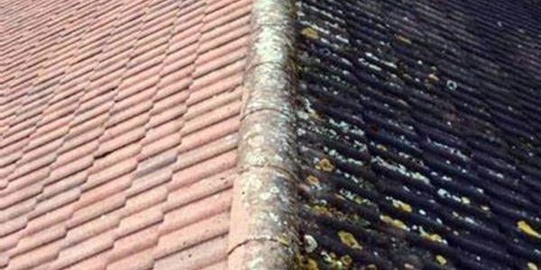 Roof cleaning 