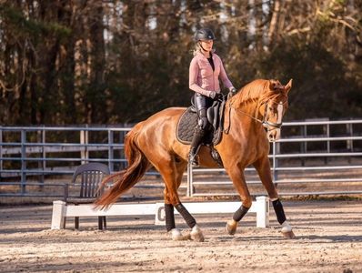 Woman riding a chestnut horse in a sandy arena with trees in the background.