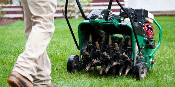 fertilizing, liming, moss and weed spraying, aeration