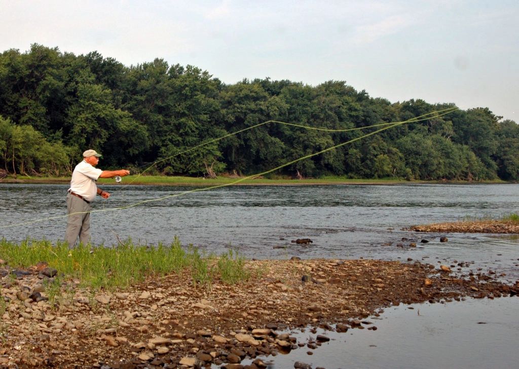  Clouser Minnow Fishing Flies - Black - Mustad Signature  Duratin Fly Hooks - 6 Pack (Hook #6) : Sports & Outdoors