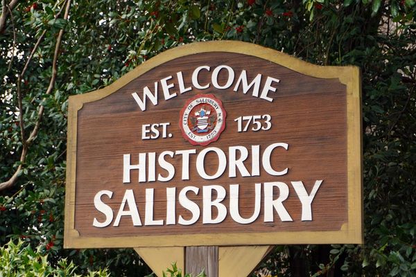 https://salisburync.gov/Visitors/Historic-Attractions
